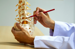 Rejuvenate Your Bones with Ancient Wisdom