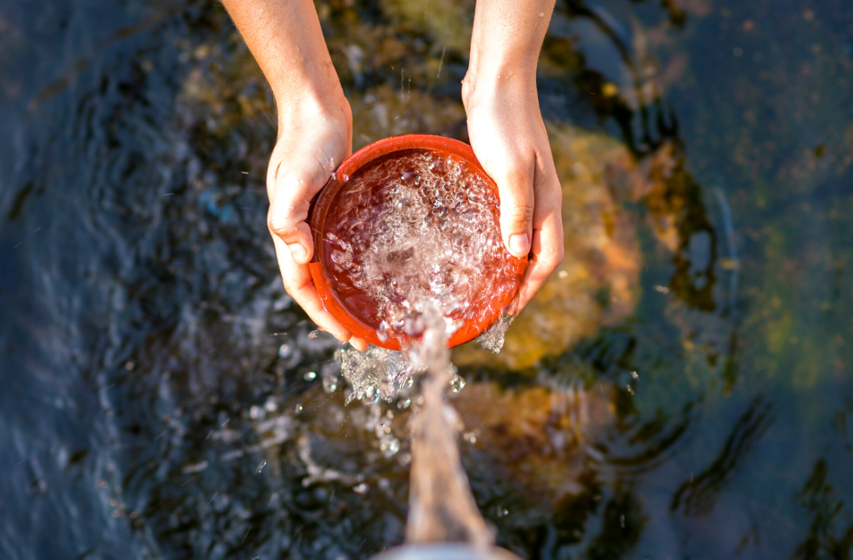 Thirst for Knowledge: Exploring the Essence of Water, The Elixir of Life!