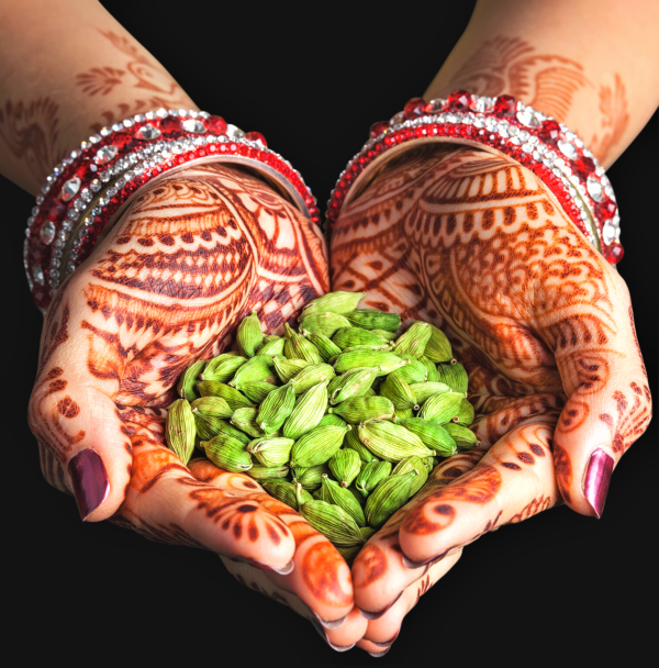 Eladi Thailam – Ayurvedic Skin Detox And Beauty Oil