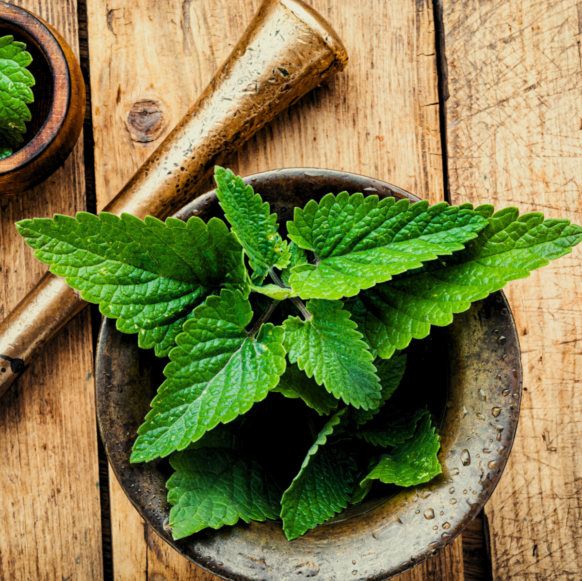 Brain Nectar– Ayurvedic Nootropic for Mental Clarity & Neuroplasticity